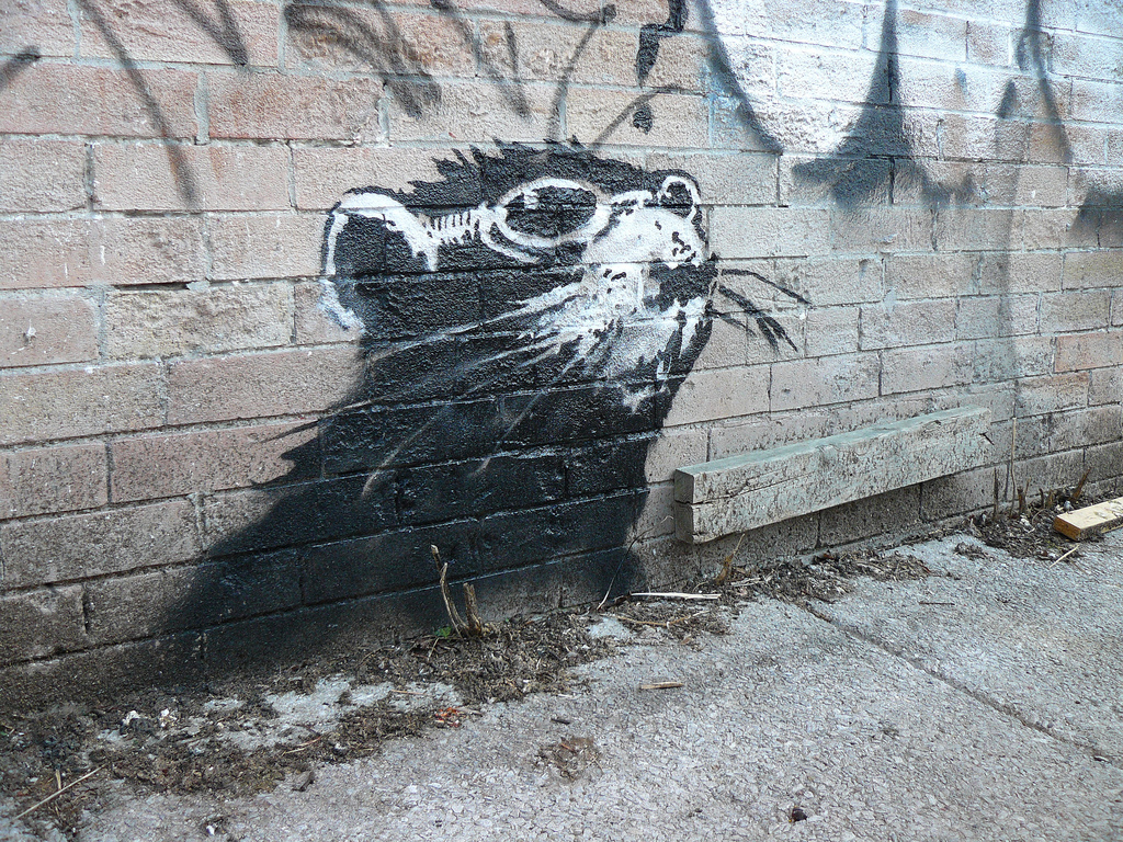 Banksy In Toronto